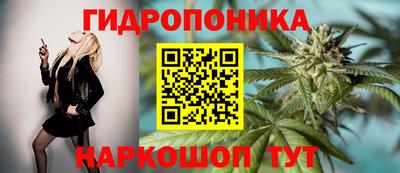 мяу мяу кристалл Кингисепп