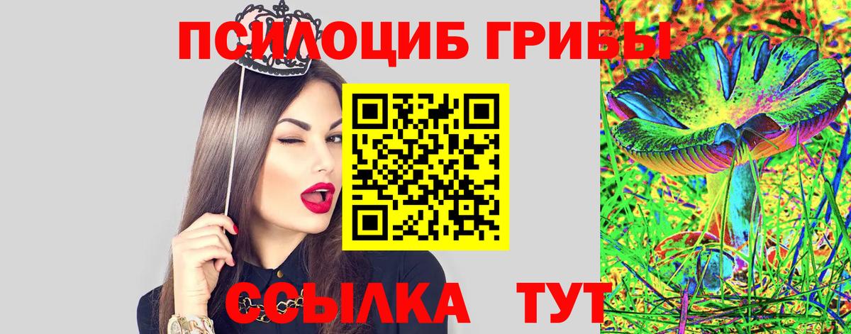 Дивногорск  что такое наркотик  Вход с VPN  Псилоцибиновые грибы Cubensis 